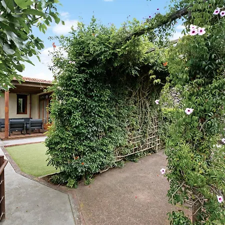 El Portillo 1 Buenavista Del Norte