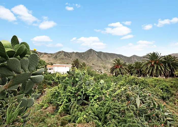 El Portillo 1 * ブエナビスタ・デル・ノルテ